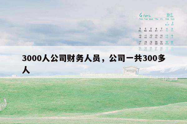 3000人公司财务人员，公司一共300多人