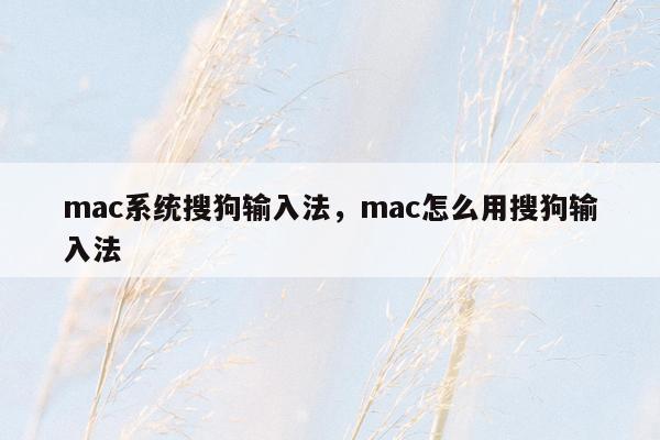 mac系统搜狗输入法，mac怎么用搜狗输入法