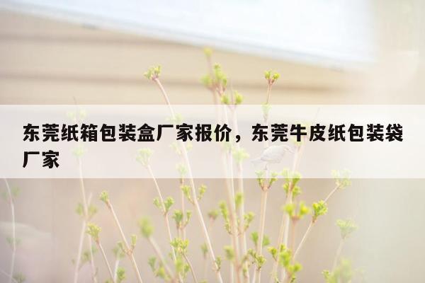 东莞纸箱包装盒厂家报价，东莞牛皮纸包装袋厂家