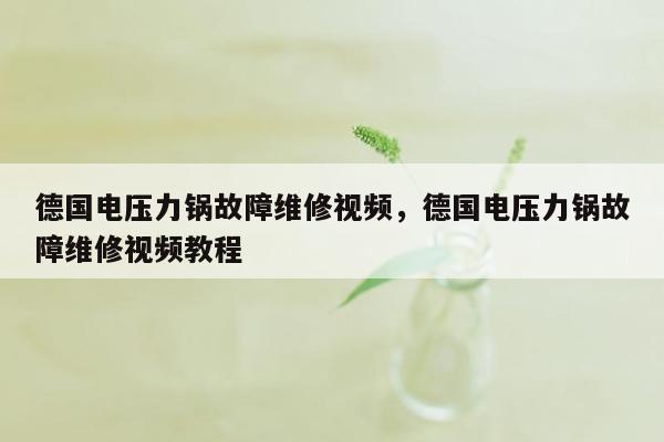 德国电压力锅故障维修视频，德国电压力锅故障维修视频教程