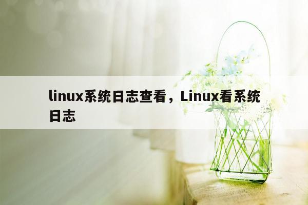 linux系统日志查看，Linux看系统日志