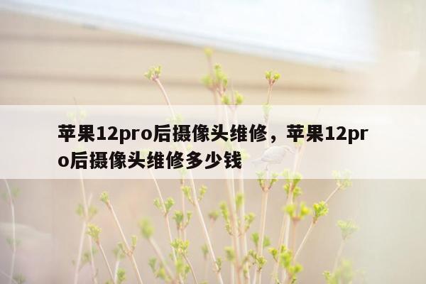 苹果12pro后摄像头维修，苹果12pro后摄像头维修多少钱