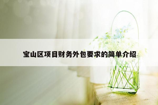 宝山区项目财务外包要求的简单介绍