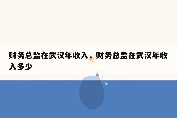 财务总监在武汉年收入，财务总监在武汉年收入多少