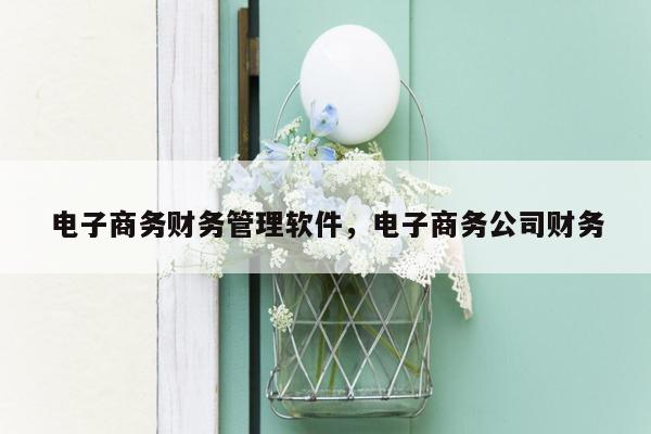 电子商务财务管理软件，电子商务公司财务