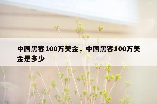 中国黑客100万美金，中国黑客100万美金是多少