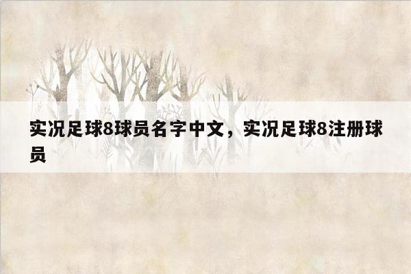 实况足球8球员名字中文，实况足球8注册球员