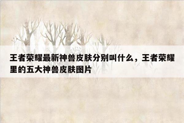 王者荣耀最新神兽皮肤分别叫什么，王者荣耀里的五大神兽皮肤图片