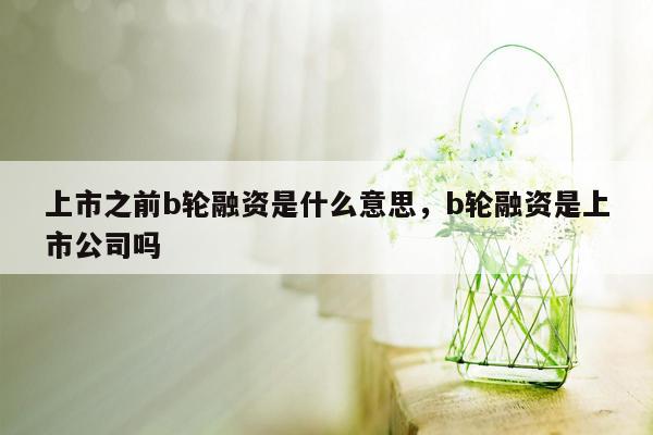 上市之前b轮融资是什么意思，b轮融资是上市公司吗