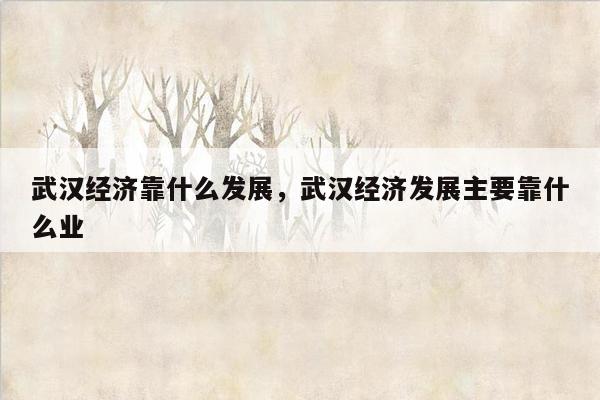 武汉经济靠什么发展，武汉经济发展主要靠什么业