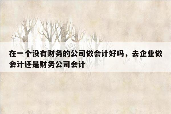 在一个没有财务的公司做会计好吗，去企业做会计还是财务公司会计