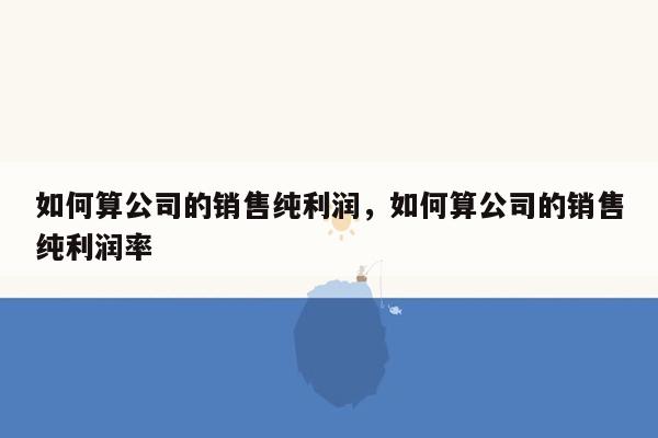 如何算公司的销售纯利润，如何算公司的销售纯利润率