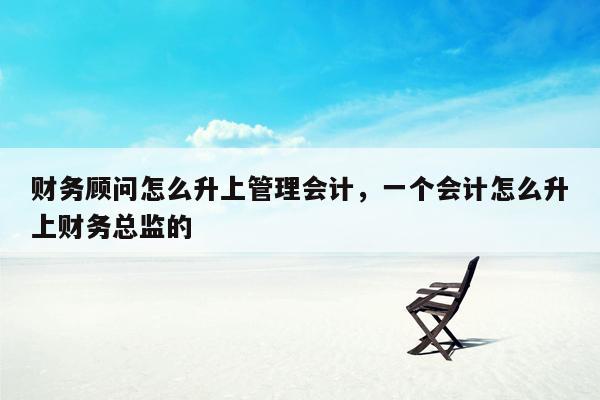 财务顾问怎么升上管理会计，一个会计怎么升上财务总监的