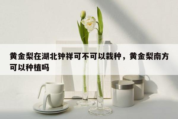 黄金梨在湖北钟祥可不可以栽种，黄金梨南方可以种植吗