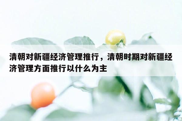 清朝对新疆经济管理推行，清朝时期对新疆经济管理方面推行以什么为主