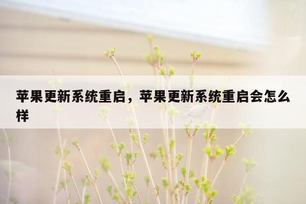 苹果更新系统重启，苹果更新系统重启会怎么样