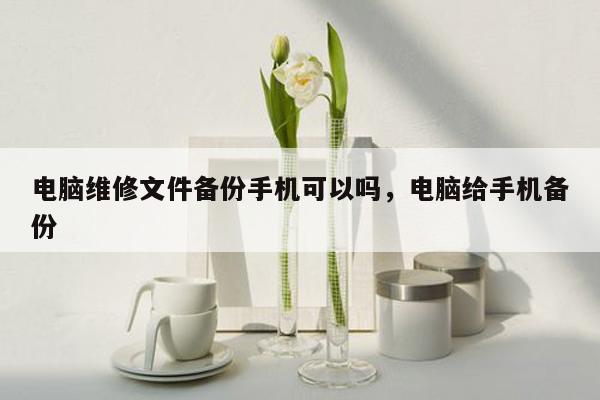 电脑维修文件备份手机可以吗，电脑给手机备份