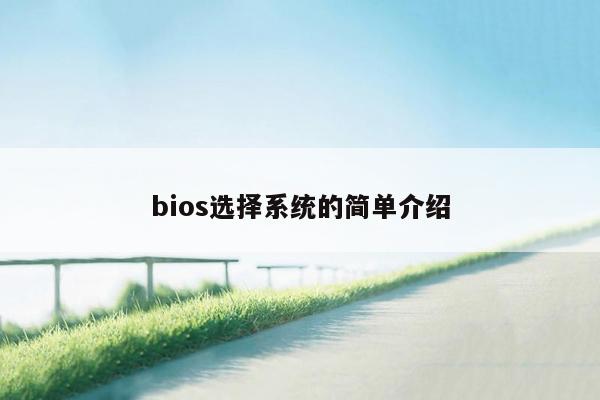 bios选择系统的简单介绍