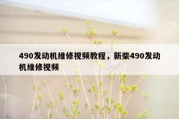 490发动机维修视频教程，新柴490发动机维修视频