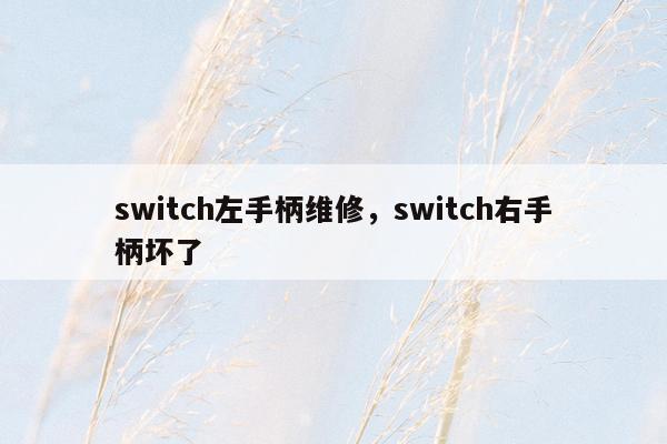 switch左手柄维修，switch右手柄坏了