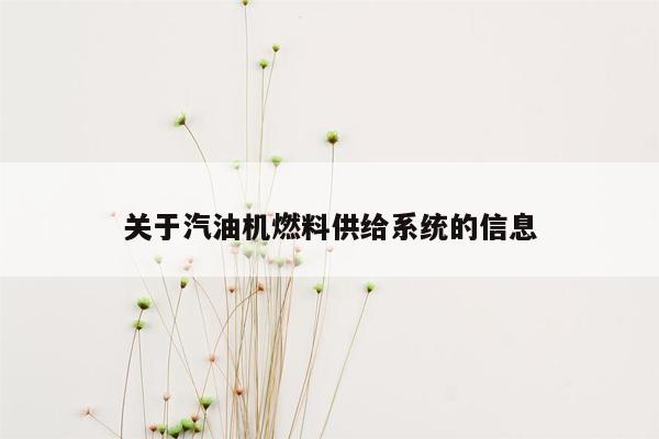 关于汽油机燃料供给系统的信息