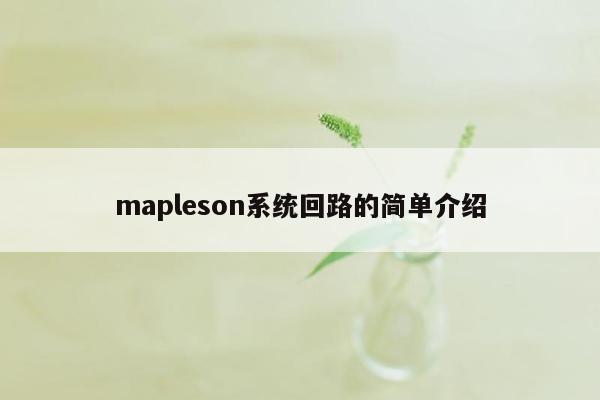 mapleson系统回路的简单介绍