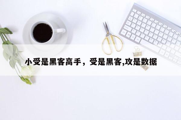 小受是黑客高手，受是黑客,攻是数据