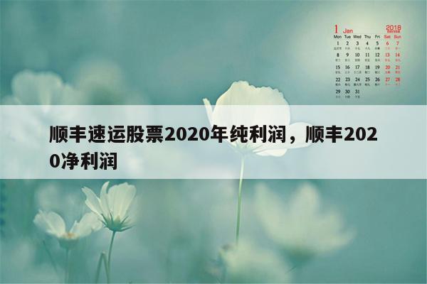 顺丰速运股票2020年纯利润，顺丰2020净利润