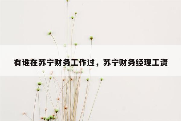 有谁在苏宁财务工作过，苏宁财务经理工资