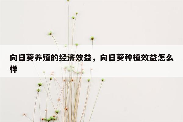 向日葵养殖的经济效益，向日葵种植效益怎么样