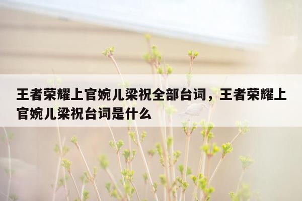 王者荣耀上官婉儿梁祝全部台词，王者荣耀上官婉儿梁祝台词是什么