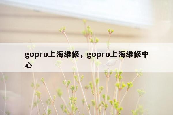 gopro上海维修，gopro上海维修中心