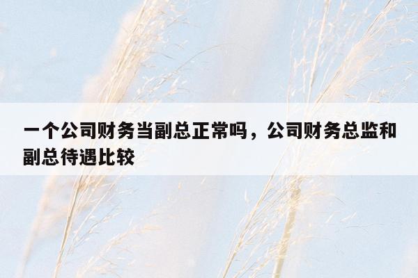 一个公司财务当副总正常吗，公司财务总监和副总待遇比较