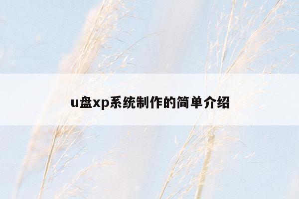 u盘xp系统制作的简单介绍