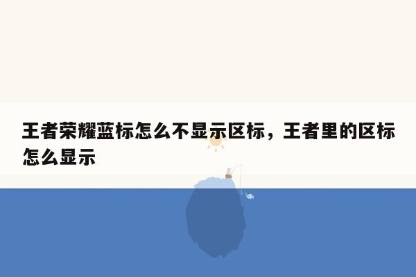 王者荣耀蓝标怎么不显示区标，王者里的区标怎么显示