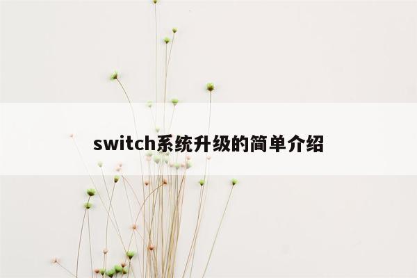 switch系统升级的简单介绍