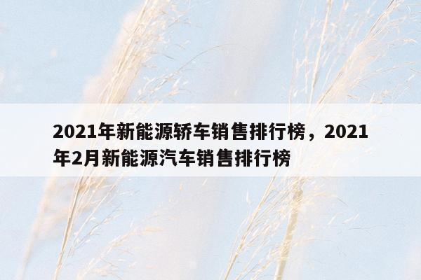 2021年新能源轿车销售排行榜，2021年2月新能源汽车销售排行榜