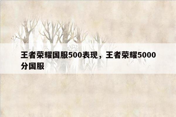 王者荣耀国服500表现，王者荣耀5000分国服