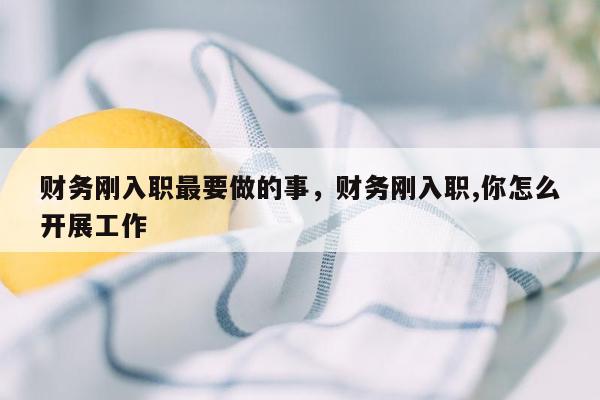 财务刚入职最要做的事，财务刚入职,你怎么开展工作