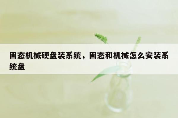 固态机械硬盘装系统，固态和机械怎么安装系统盘