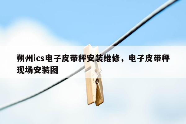 朔州ics电子皮带秤安装维修，电子皮带秤现场安装图