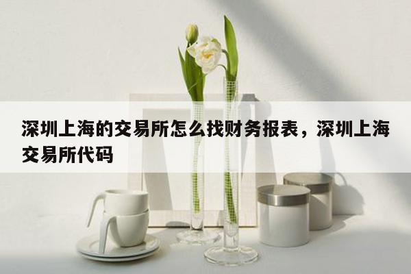 深圳上海的交易所怎么找财务报表，深圳上海交易所代码