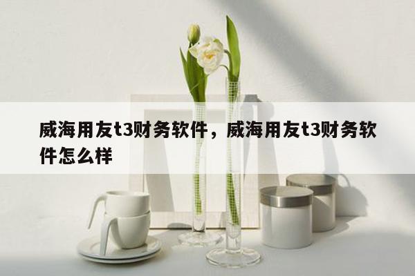 威海用友t3财务软件，威海用友t3财务软件怎么样