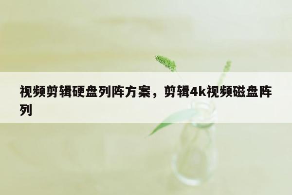 视频剪辑硬盘列阵方案，剪辑4k视频磁盘阵列