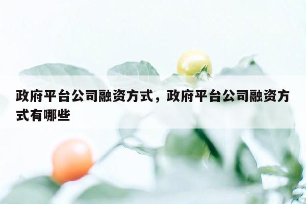 政府平台公司融资方式，政府平台公司融资方式有哪些