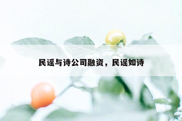 民谣与诗公司融资，民谣如诗