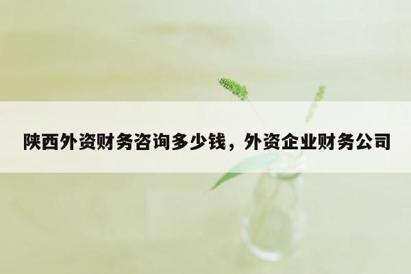 陕西外资财务咨询多少钱，外资企业财务公司