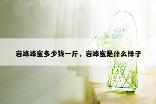 岩蜂蜂蜜多少钱一斤，岩蜂蜜是什么样子