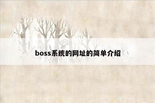 boss系统的网址的简单介绍