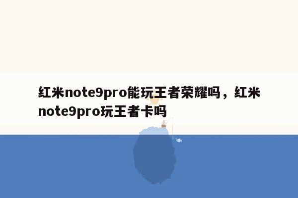 红米note9pro能玩王者荣耀吗，红米note9pro玩王者卡吗